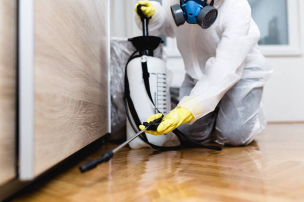 Best Pest Prevention Services  in Stayton, OR