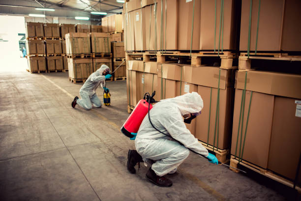 Best Best Pest Control Companies  in Stayton, OR