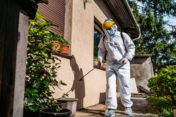 Best Pest Control for Restaurants  in Stayton, OR
