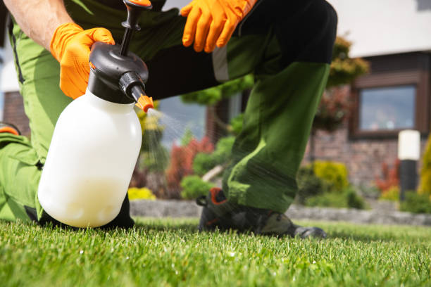Professional Pest Control in Stayton, OR