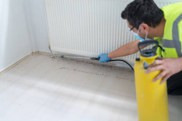 Best Emergency Pest Control  in Stayton, OR